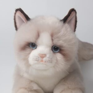 20-Inch Realistic Handmade Ragdoll Cat Plush with Box